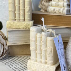 bookworm dream 1